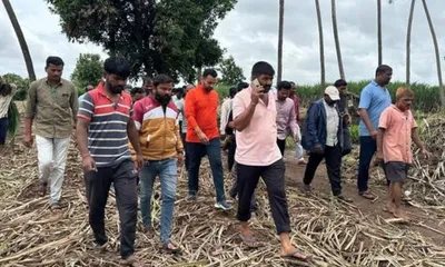 महापुराचा कायम स्वरूपी उपाय योजना करण्यासाठी मोठा निधी उभा करणार  खासदार धैर्यशील माने