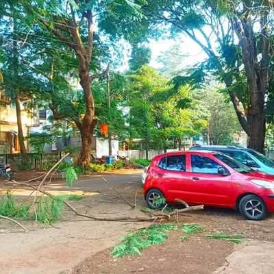 भाग्यनगर येथे कोसळलेल्या फांद्यांकडे दुर्लक्ष