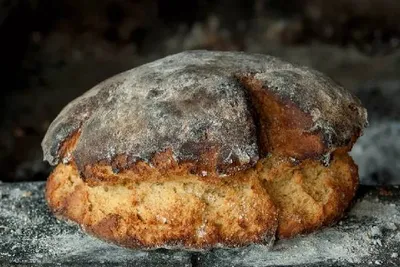 8600 वर्षे जुना ब्रेड