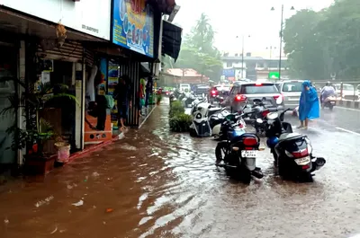 शहरी भागांना पावसाने झोडपले