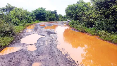 सीमा हद्दीतील रस्त्याला तलावाचे स्वरुप