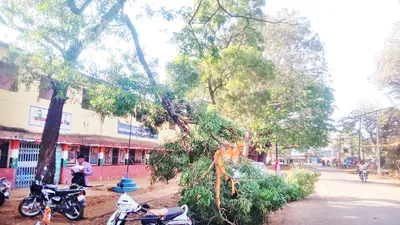 मजगावात शाळा आवारातील झाडाची फांदी तुटल्याने तीन दुचाकींचे नुकसान