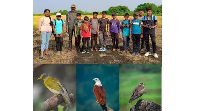 वायंगणी गाव बनले पक्ष्यांचे हॉटस्पॉट  