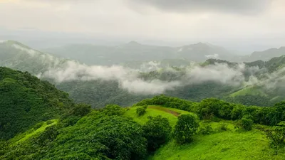 कस्तुरीरंगन अहवाल सरकारने फेटाळला