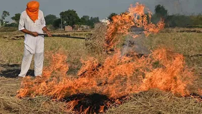 हरियाणात 24 अधिकारी अन् कर्मचारी निलंबत