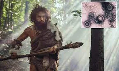 50 हजार वर्षे जुन्या हाडांमध्ये सापडले सद्यकालीन विषाणू
