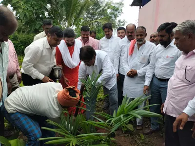 बागायततर्फे पाम लागवडीला प्राधान्य