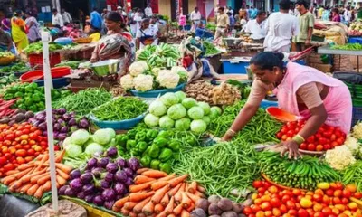 भाजीपाल्याचे दर उतरले  कोथंबीरही स्वस्त  लसुणचे दर चढेच  टोमॅटोच्या दरात किंचत वाढ