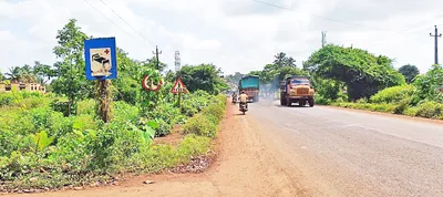 बेळगाव सांबरा रस्त्यावरील दिशादर्शक फलक झाडाझुडपांच्या विळख्यात