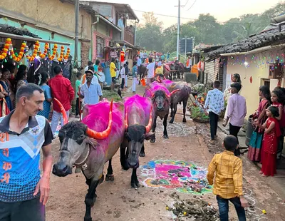 शहरात पारंपरिक पद्धतीने म्हशींची मिरवणूक