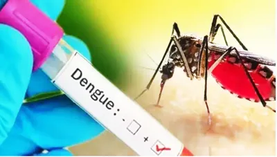 डेंग्यू नियंत्रणासाठी खबरदारीच्या उपाययोजना करा
