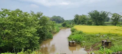 परतीच्या जोरदार पावसामुळे नदी नाल्यांच्या पाणीपातळीत वाढ