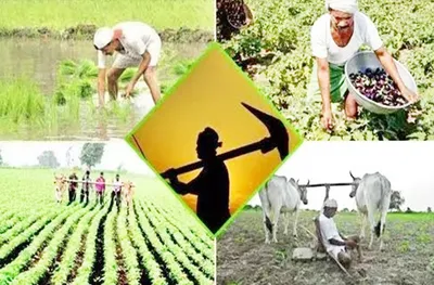 संभाव्य विकसित भारताचा अविकसित कृषी अर्थसंकल्प