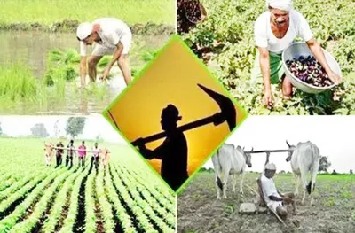 संभाव्य विकसित भारताचा अविकसित कृषी अर्थसंकल्प