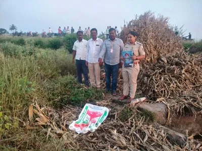 कागवाडमधील मोळेनजीक कालव्यात अर्भकाचा मृतदेह