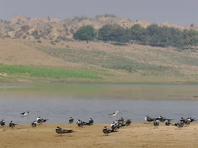 वाळवंटात वाहणारी भारतातील एकमात्र नदी