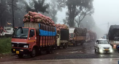 गोव्यात भाजी घेऊन येणारे ट्रक अनमोडमध्ये रोखले