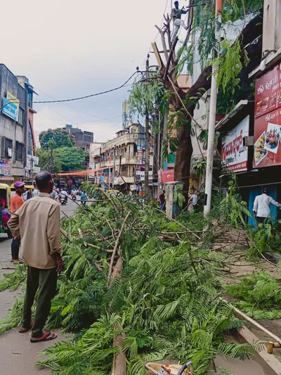 काकतीवेस येथील धोकादायक झाडे हटविली