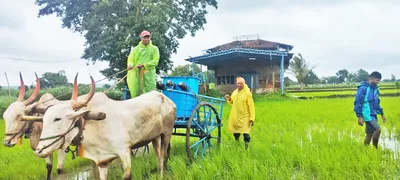 निकामी झालेला ट्रान्स्फॉर्मर तातडीने बदलला