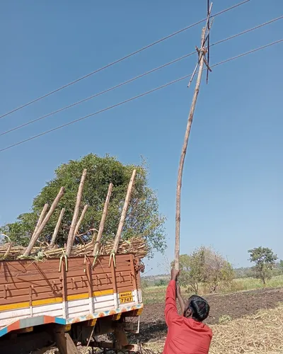 वीजवाहिन्यांच्या धोक्यापासून हेस्कॉम सावध होणार का 