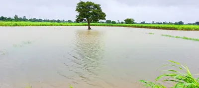 26 हजार हेक्टर क्षेत्रातील पिकांचे प्रचंड नुकसान