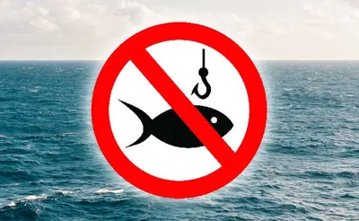 जिल्ह्यामध्ये मासेमारीला निर्बंध