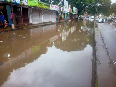 शहर परिसरात दमदार पाऊस