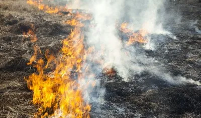 गवत जाळण्याचे प्रकार अद्यापही सुरुच