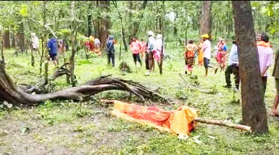 नाला ओलांडताना मायलेक गेल्या वाहून