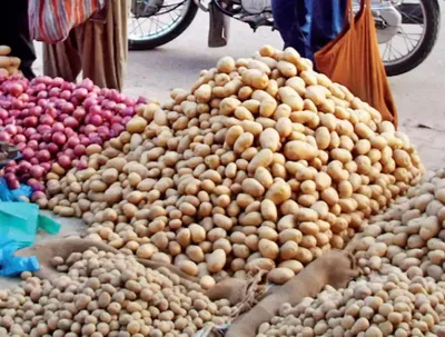 बटाटा दरात 300 रुपयांनी वाढ  कांदा दर स्थिर