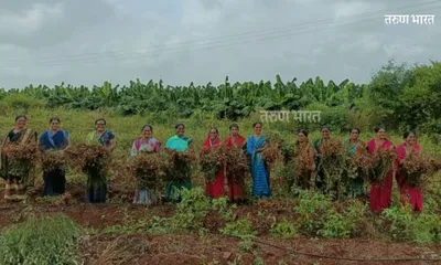 महिला शेतकरी गटाने काढले 450 पोती शेंगांचे उत्पादन  चिखलगोठण येथील महिलांच्या कर्तृत्वाचे कौतुक