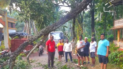 आचरा   हिर्लेवाडी रस्त्यावर झाड कोसळल्याने वाहतूक झाली होती ठप्प